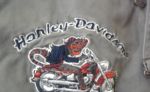 Nohavice zn. Harley Davidson